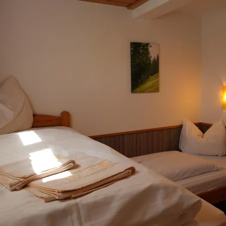 Apartamento Apartmentpension Hillebrand Kitzbühel