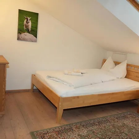 Apartmentpension Hillebrand Daire Kitzbühel