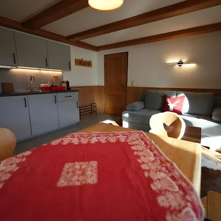 Apartmentpension Hillebrand Appartement *