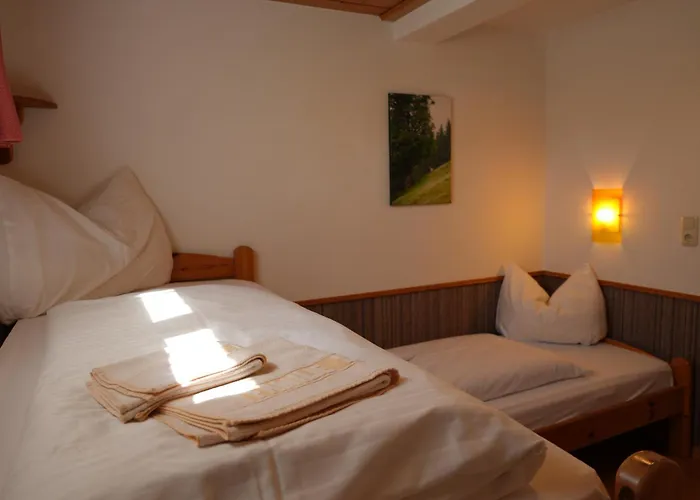 Appartement Apartmentpension Hillebrand Kitzbühel